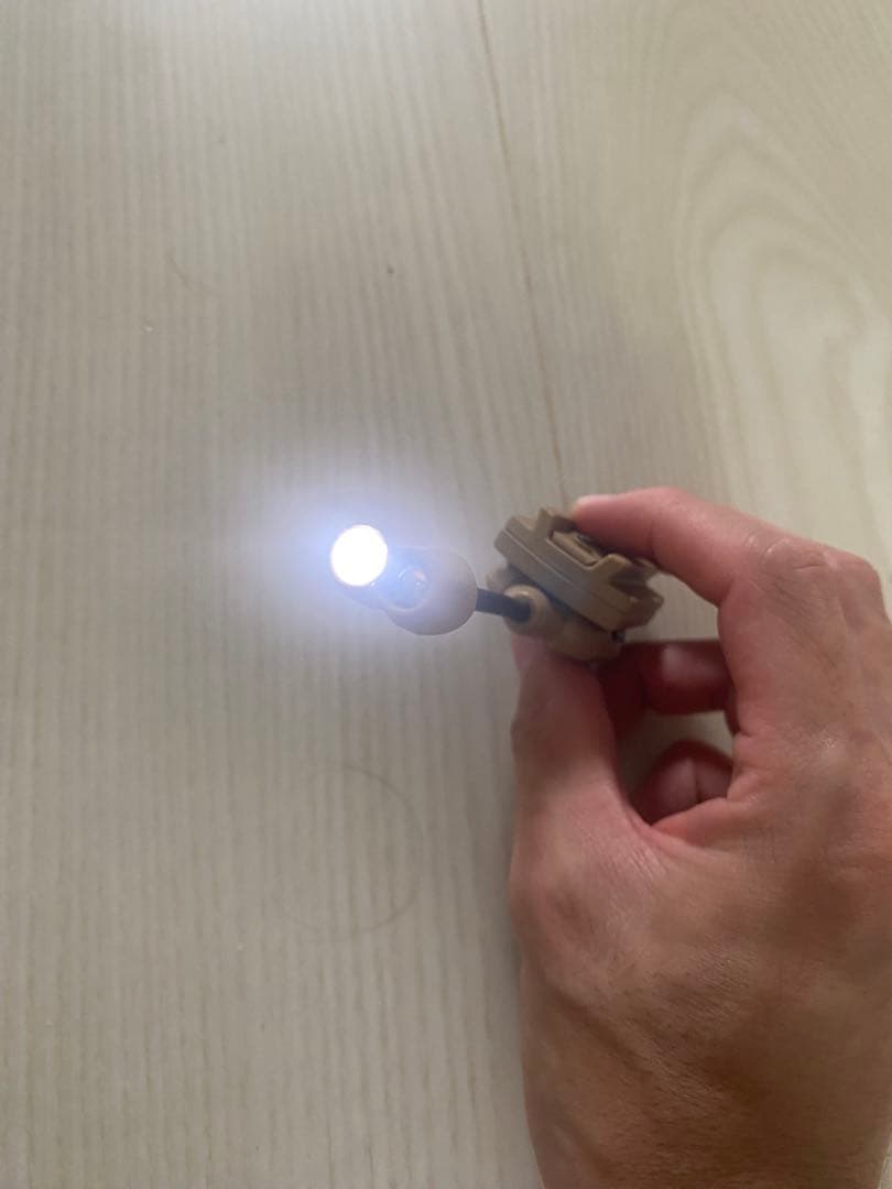 ［実物］最終値下 箱無　PRINCETON TEC SWITCH MPLS