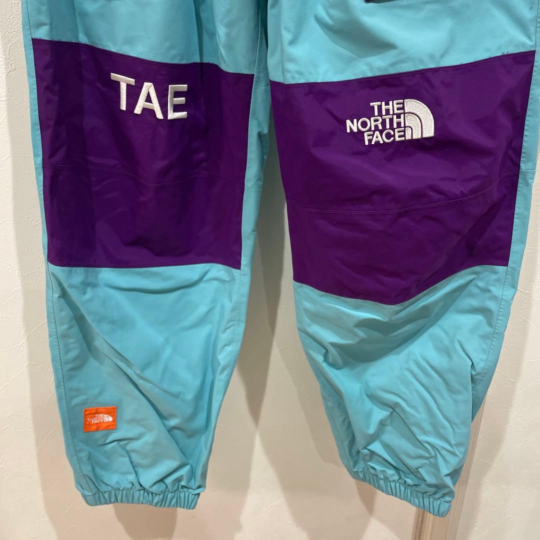 THE NORTHFACE 国内未発売希少品 trans antarctia