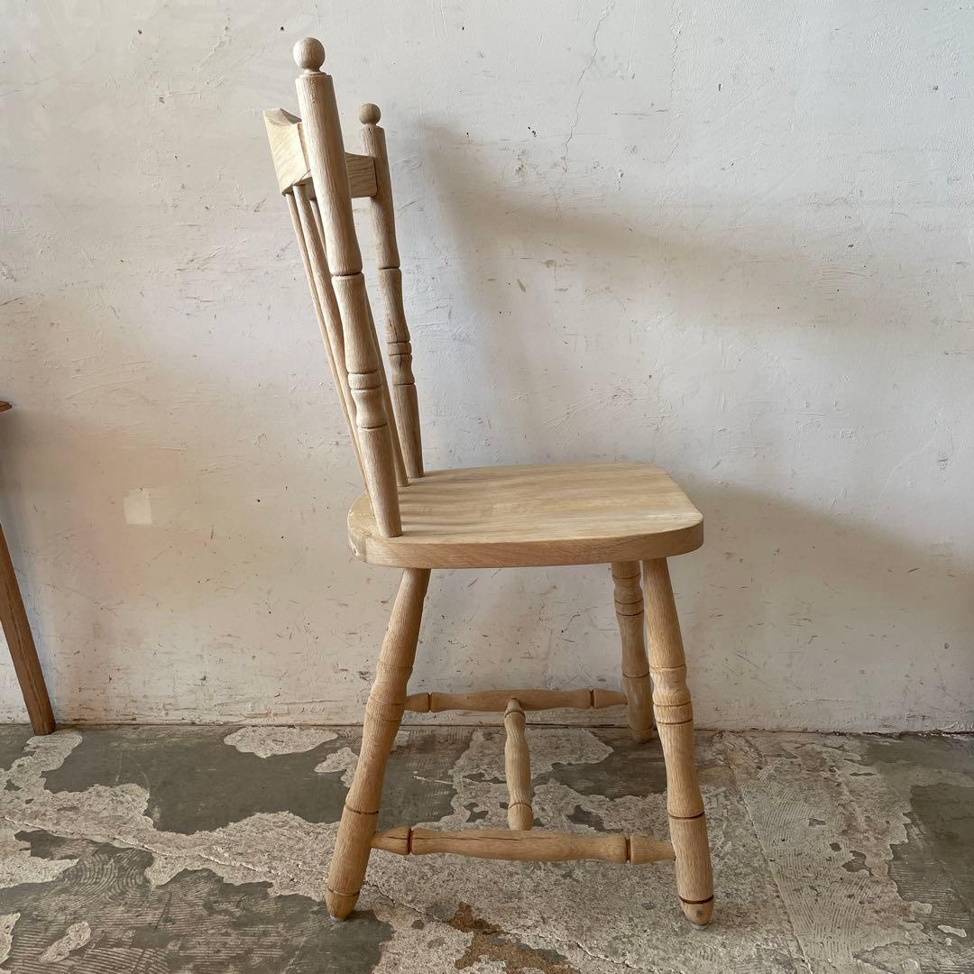 カタツムリ 　no11