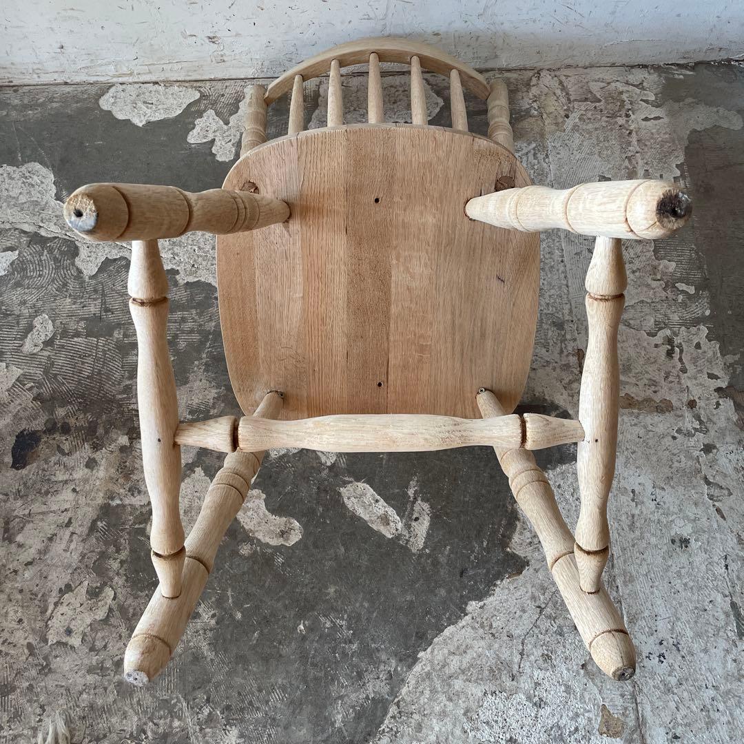 カタツムリ 　no11