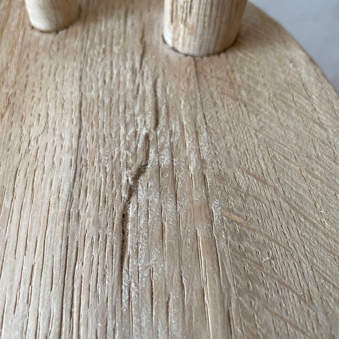 カタツムリ 　no11