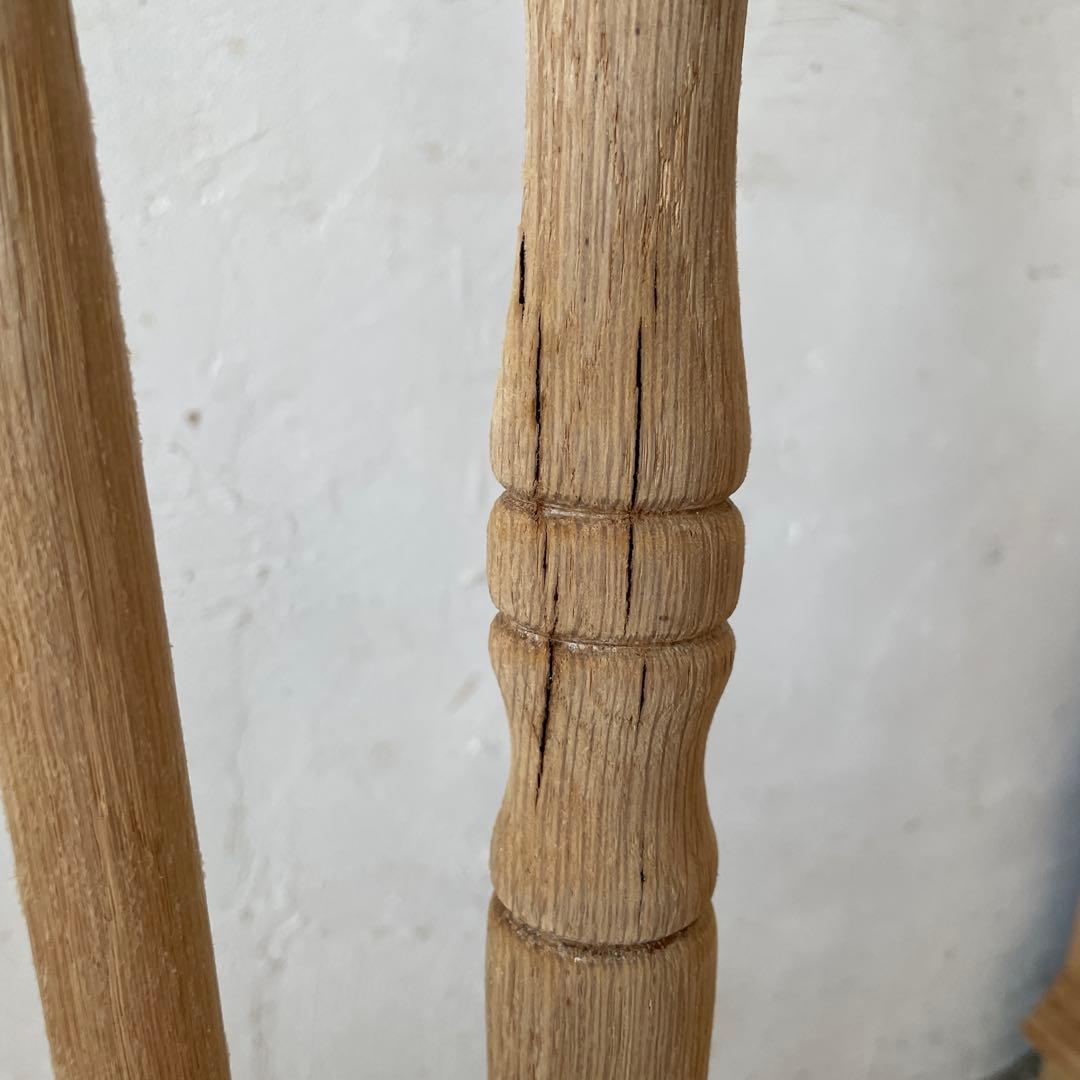 カタツムリ 　no11