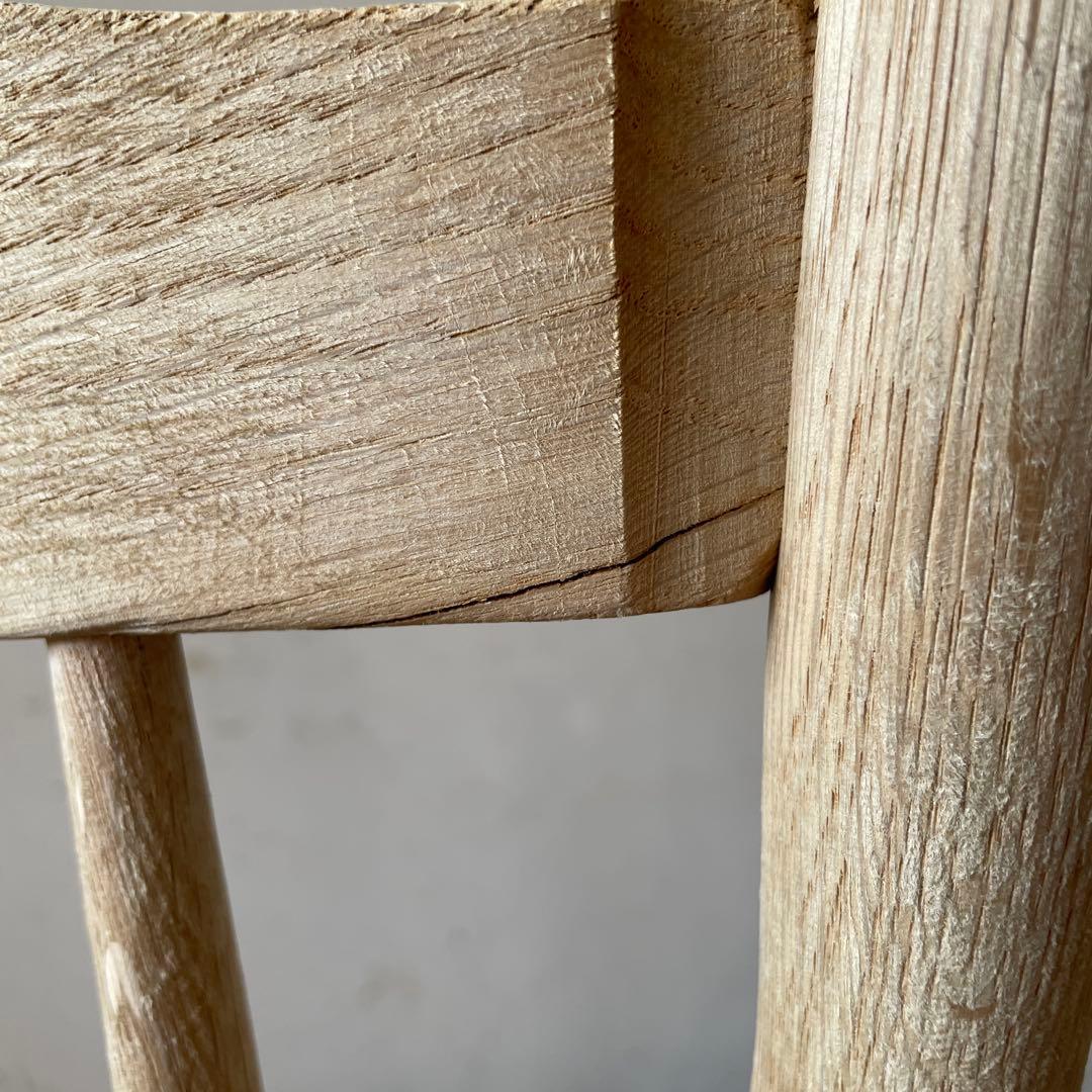 カタツムリ 　no11