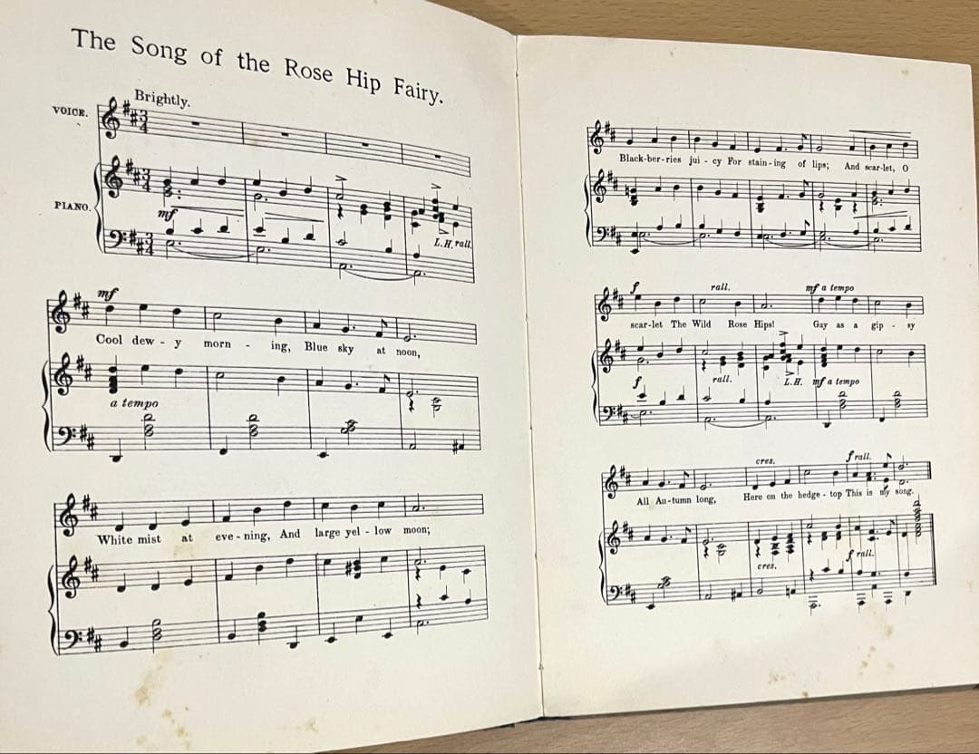 No359 希少 古書 洋書 楽譜 絵本 花の妖精 フラワー フェアリーズ