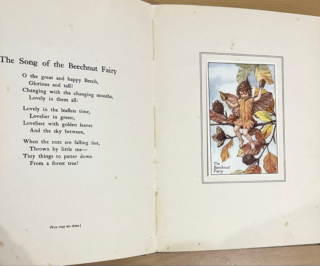 No359 希少 古書 洋書 楽譜 絵本 花の妖精 フラワー フェアリーズ