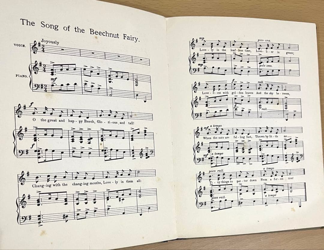 No359 希少 古書 洋書 楽譜 絵本 花の妖精 フラワー フェアリーズ