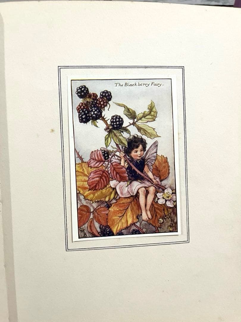 No359 希少 古書 洋書 楽譜 絵本 花の妖精 フラワー フェアリーズ