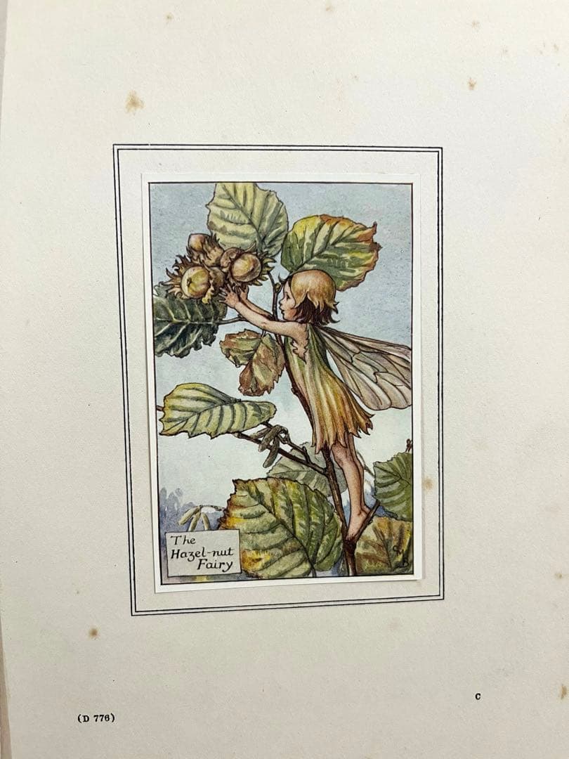 No359 希少 古書 洋書 楽譜 絵本 花の妖精 フラワー フェアリーズ