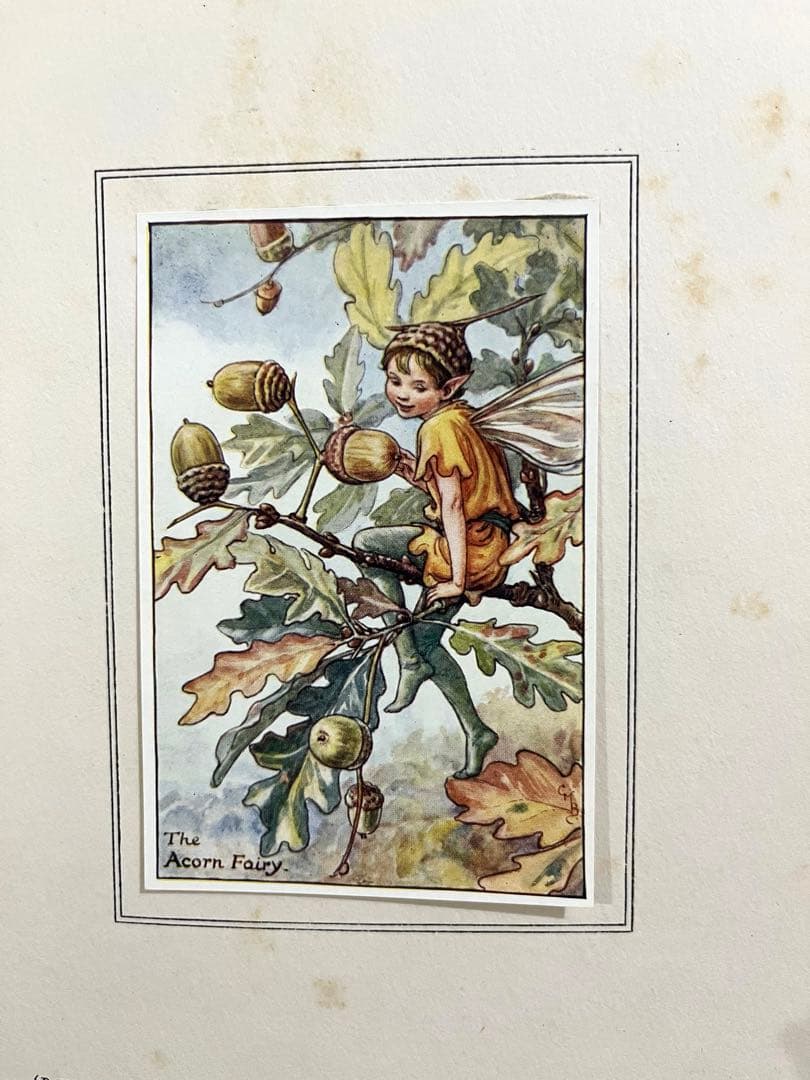 No359 希少 古書 洋書 楽譜 絵本 花の妖精 フラワー フェアリーズ