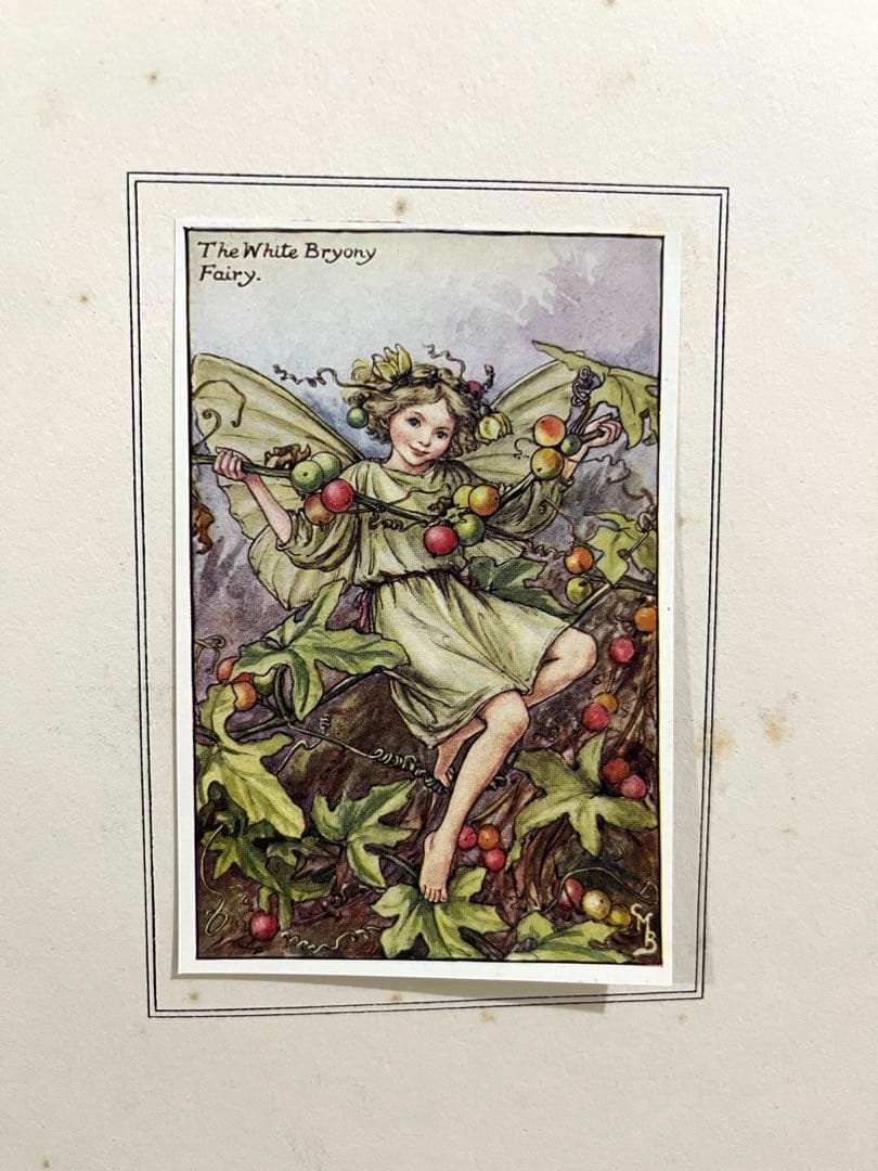 No359 希少 古書 洋書 楽譜 絵本 花の妖精 フラワー フェアリーズ