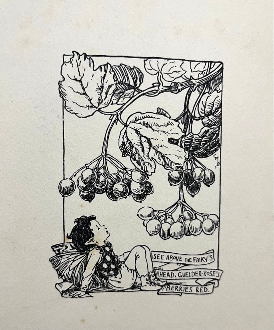 No359 希少 古書 洋書 楽譜 絵本 花の妖精 フラワー フェアリーズ