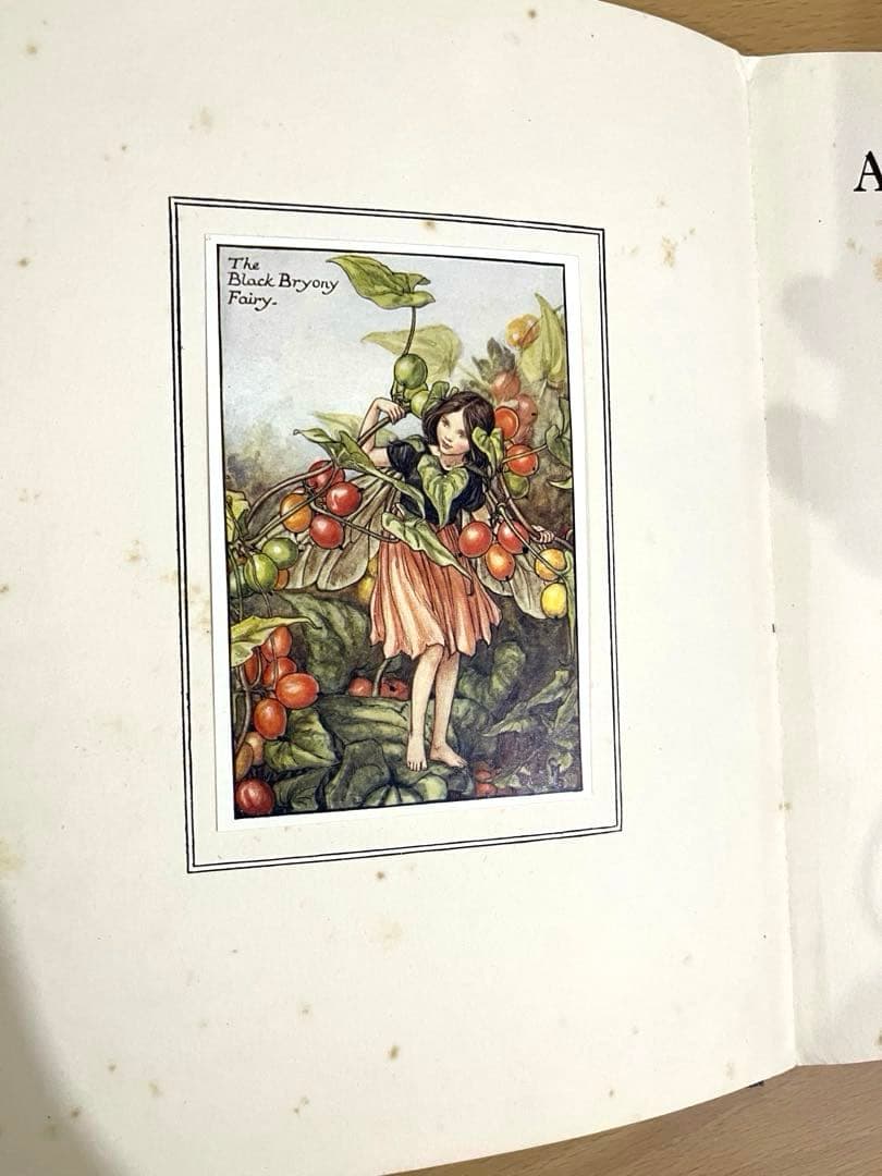 No359 希少 古書 洋書 楽譜 絵本 花の妖精 フラワー フェアリーズ