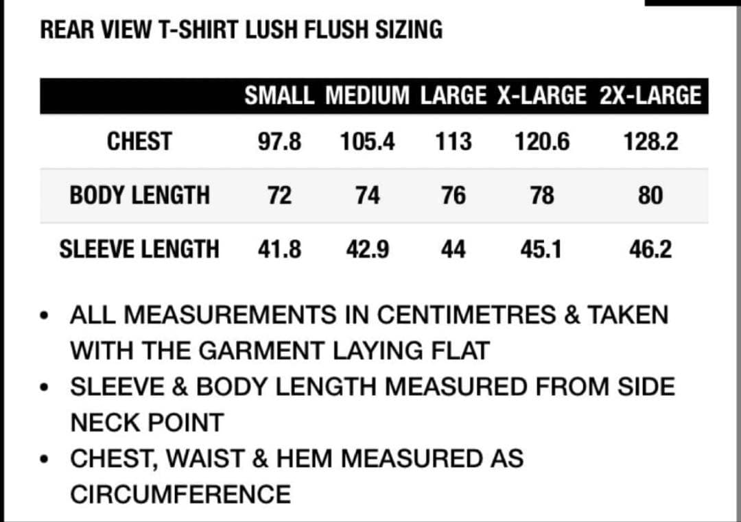 PALACE REAR VIEW T-SHIRTS 25aw パレス　Tシャツ