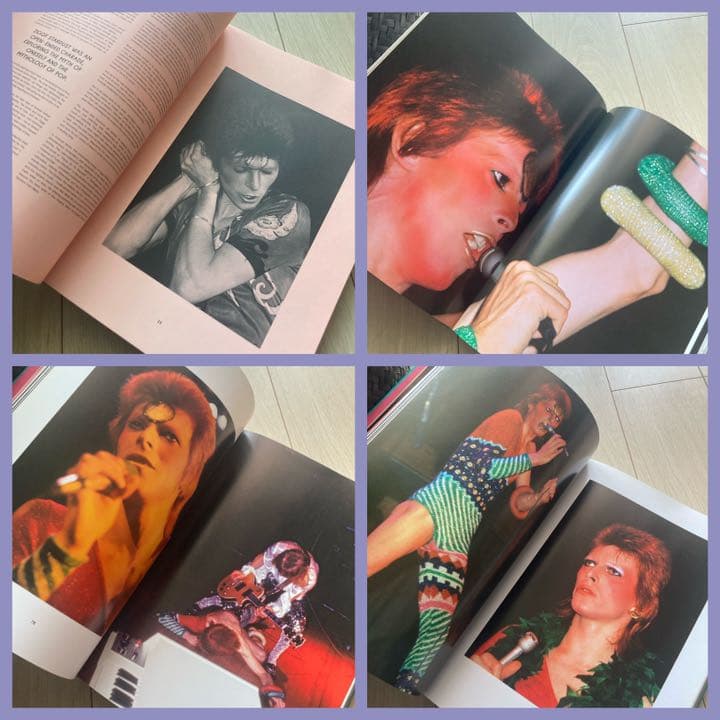 希少❗️ The Rise of David Bowie, 1972-1973