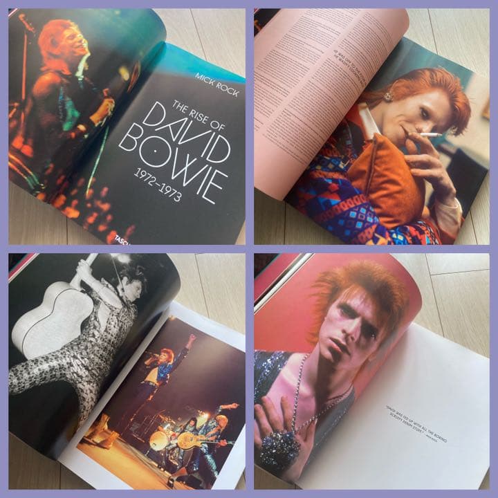 希少❗️ The Rise of David Bowie, 1972-1973
