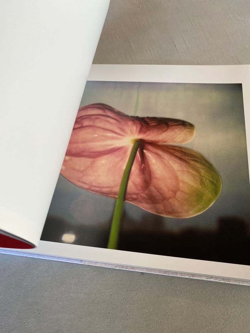 須田一政　rubber 写真集　サイン入り