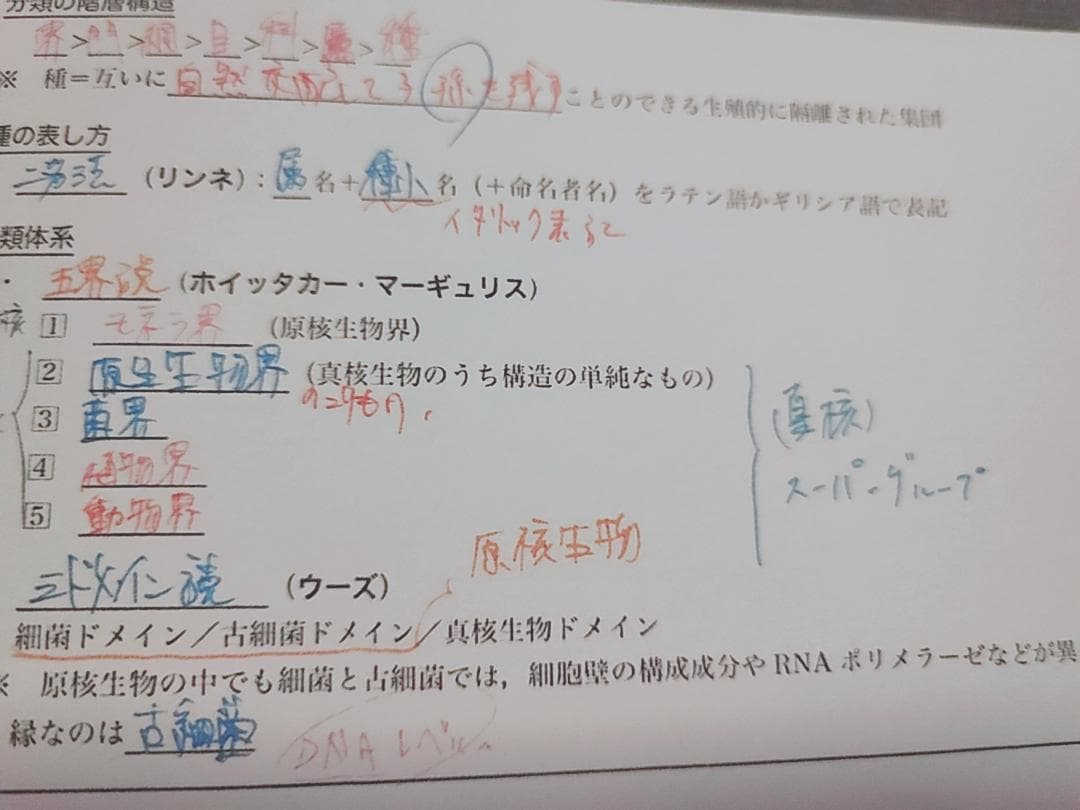 鉄緑会の柳沼先生による高３生物発展講座講義冊子フルセット　駿台　河合塾