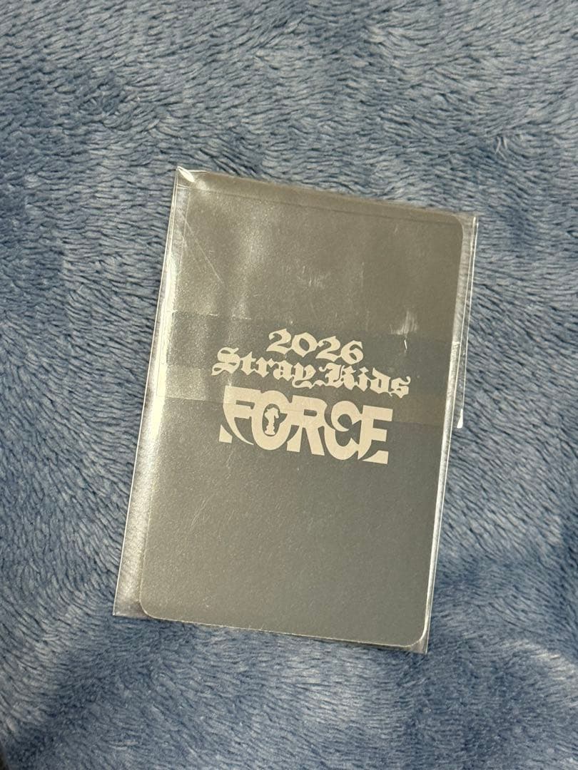 StrayKids◆JAPAN SEASON’S GREETINGSFORCE