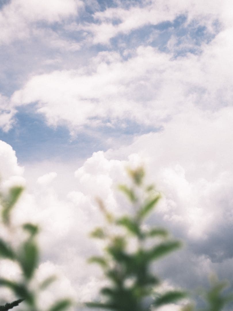 d*7様 美品 Nikon FM2T 一眼レフカメラ チタン