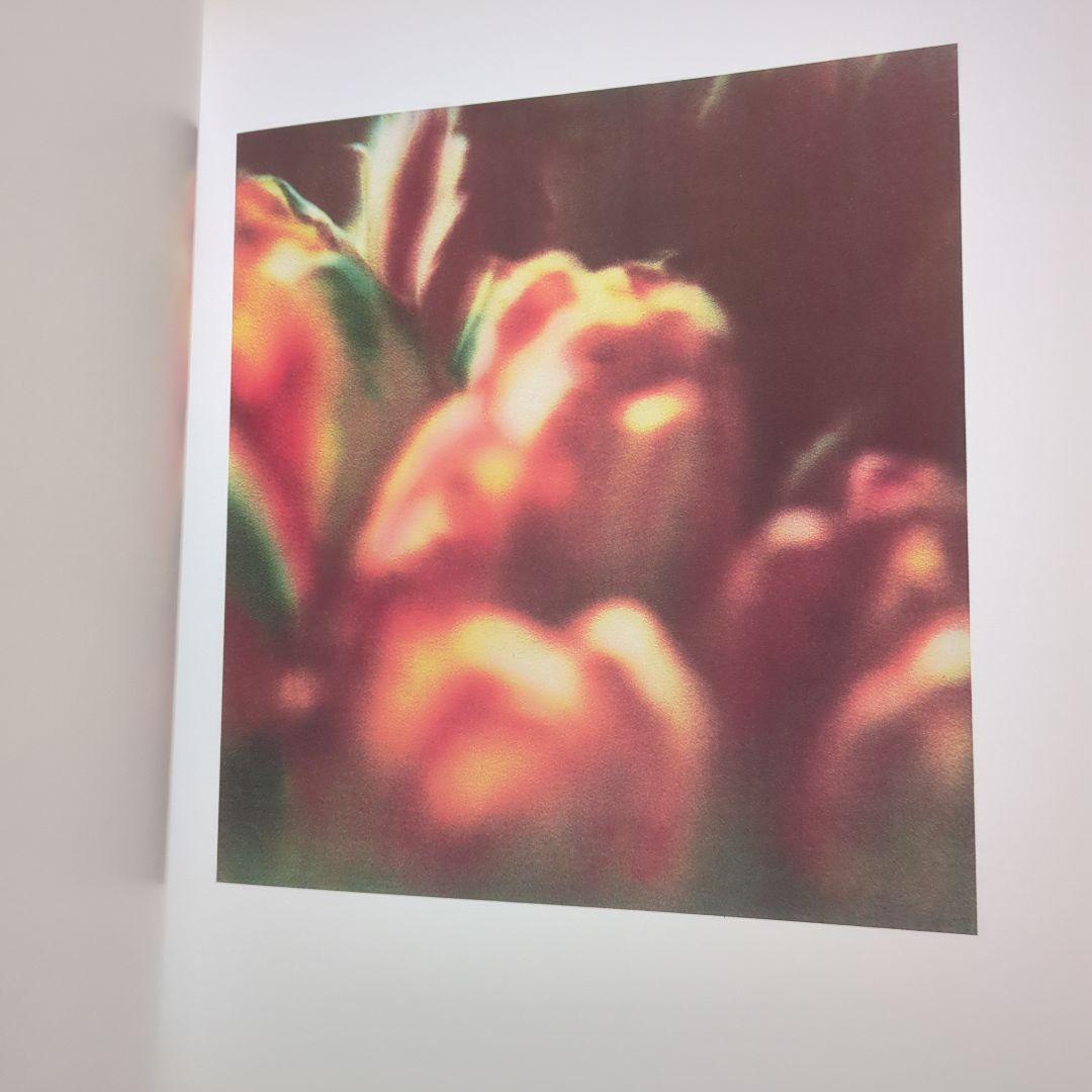 Cy Twombly サイ・トゥオンブリー Photographs 洋書 写真集