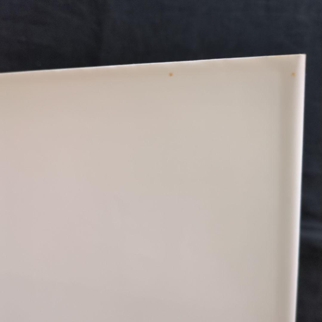 Cy Twombly サイ・トゥオンブリー Photographs 洋書 写真集