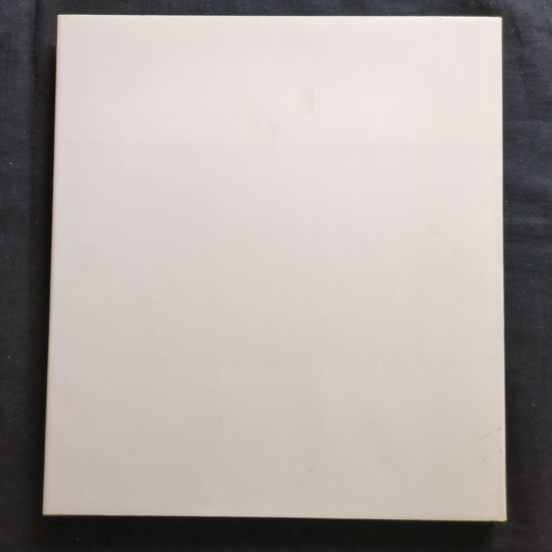 Cy Twombly サイ・トゥオンブリー Photographs 洋書 写真集