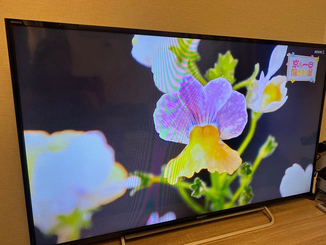 SONY BRAVIA 大画面 液晶テレビ 48型