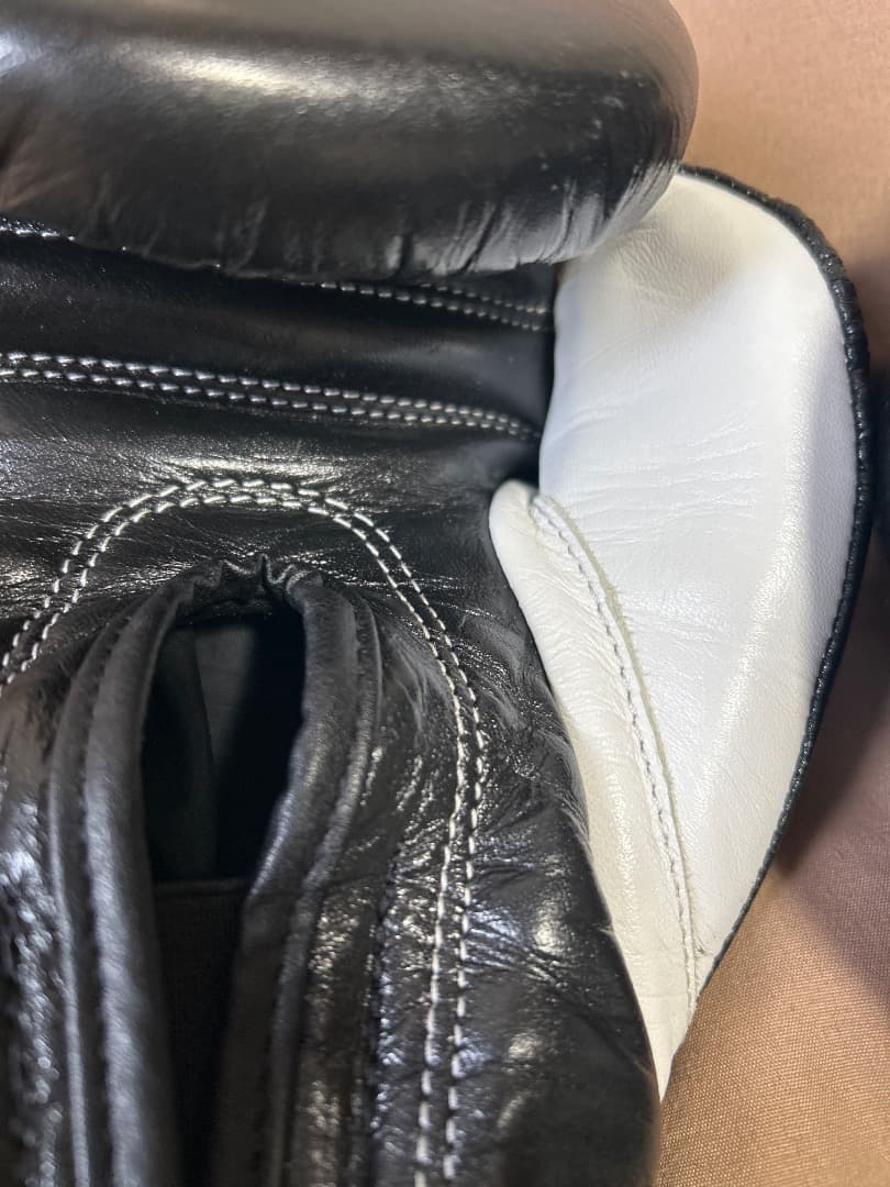 レイジェスボクシンググローブベルクロ式10オンス【超美品】