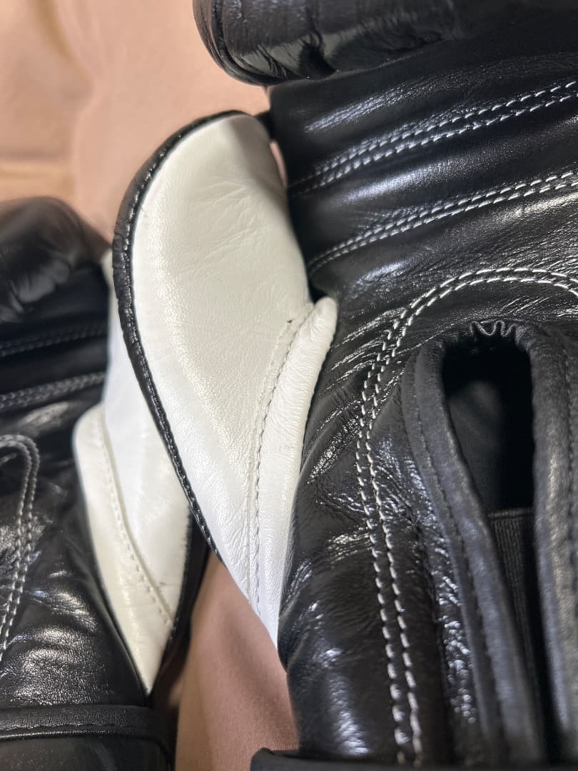 レイジェスボクシンググローブベルクロ式10オンス【超美品】