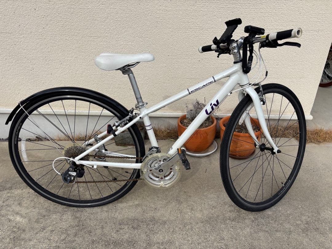 引き取り限定　LIV ESCAPE サイズXXS パンク状態