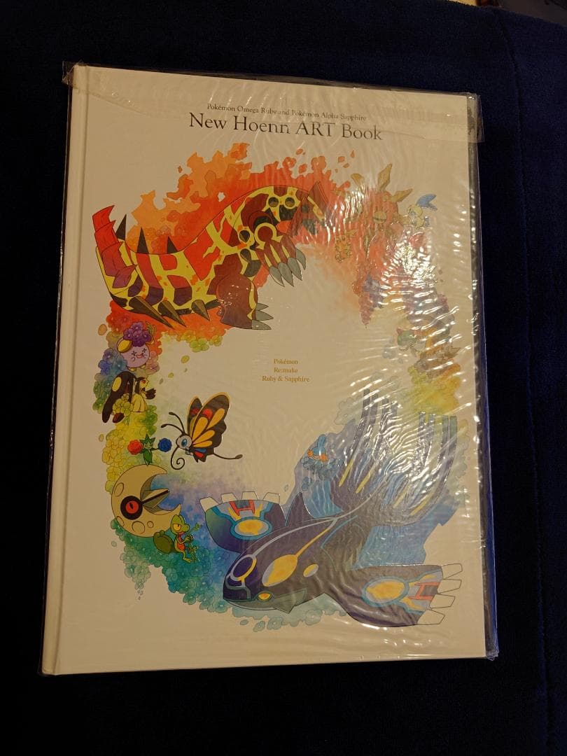 ポケットモンスター New Hoenn ART Book