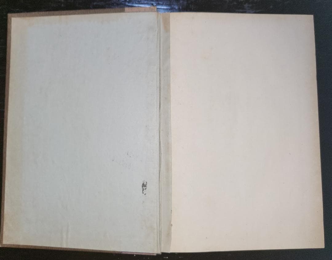 仏教原理論 湯次了栄 叢文閣 昭和初期【古書】