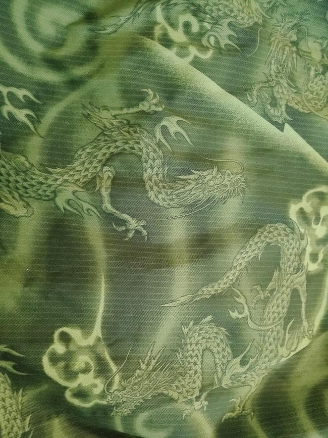 美品 ミズノ 井山敬介モデル 龍 和柄 スキージャケット M メンズ 希少モデル