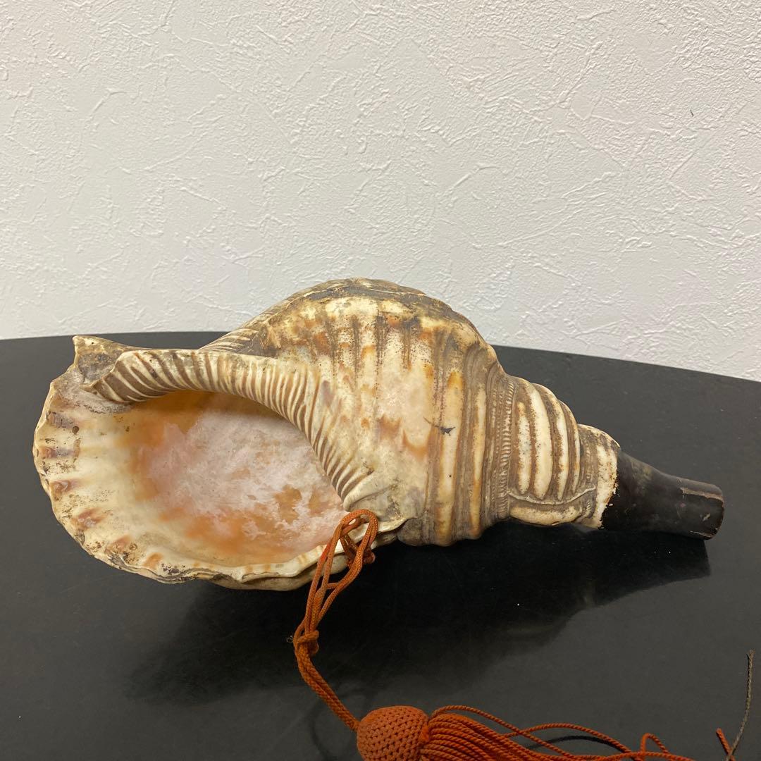 時代物 法螺貝 密教法具 武具 甲冑