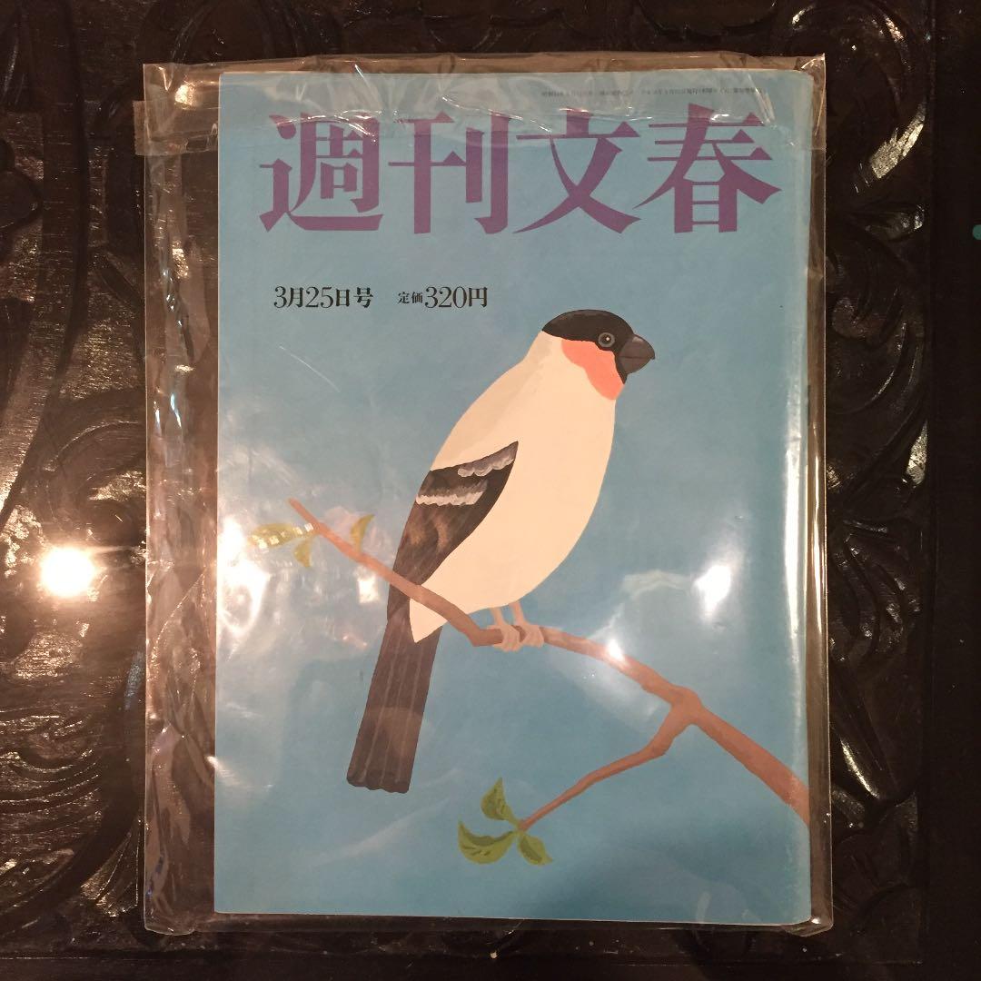 週刊文春 平成16年3月25日発行