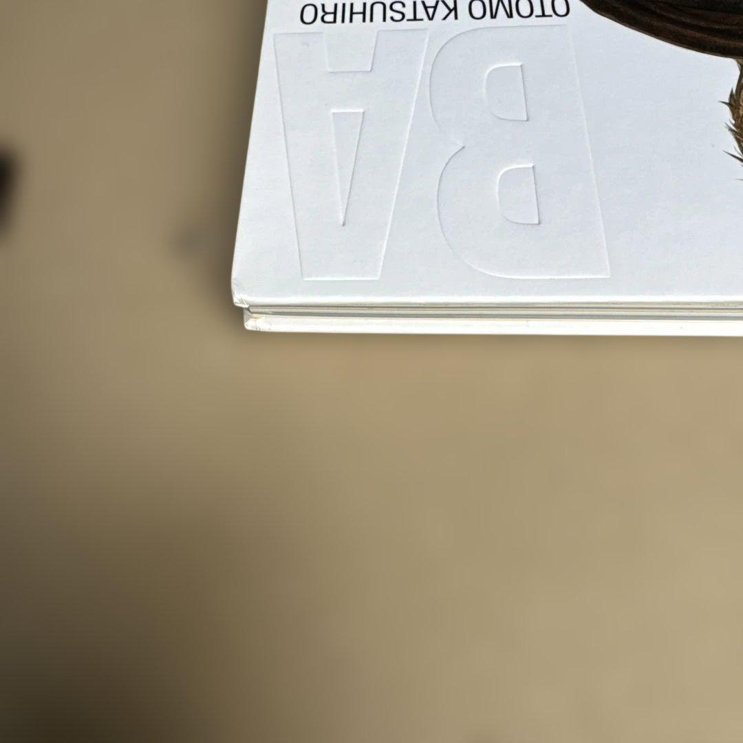 OTOMO KATSUHIRO ARTWORK KABA2 大友克洋　輸送ケース