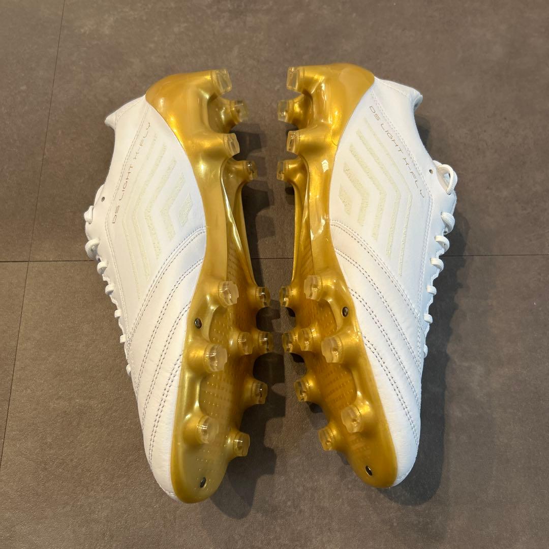 シューズ DS LIGHT X-FLY4