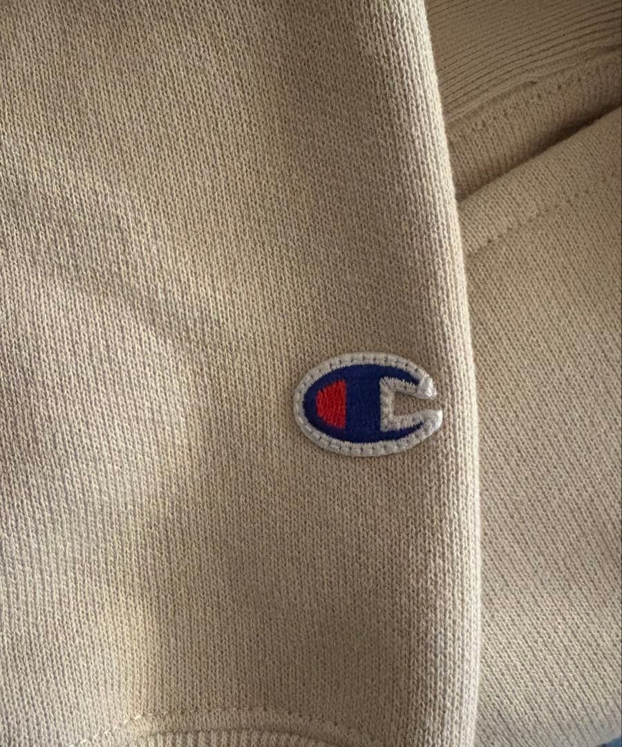 フレームワークChampion別注製品染めreverse weave