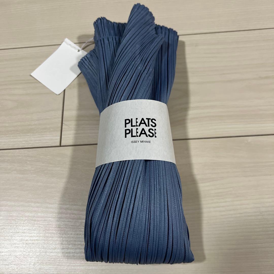 PLEATS PLEASE 長袖カットソーsteel blue 2025年12月