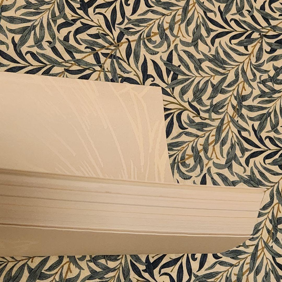 BANANA FISH ART&STAFF BOOK初回特典