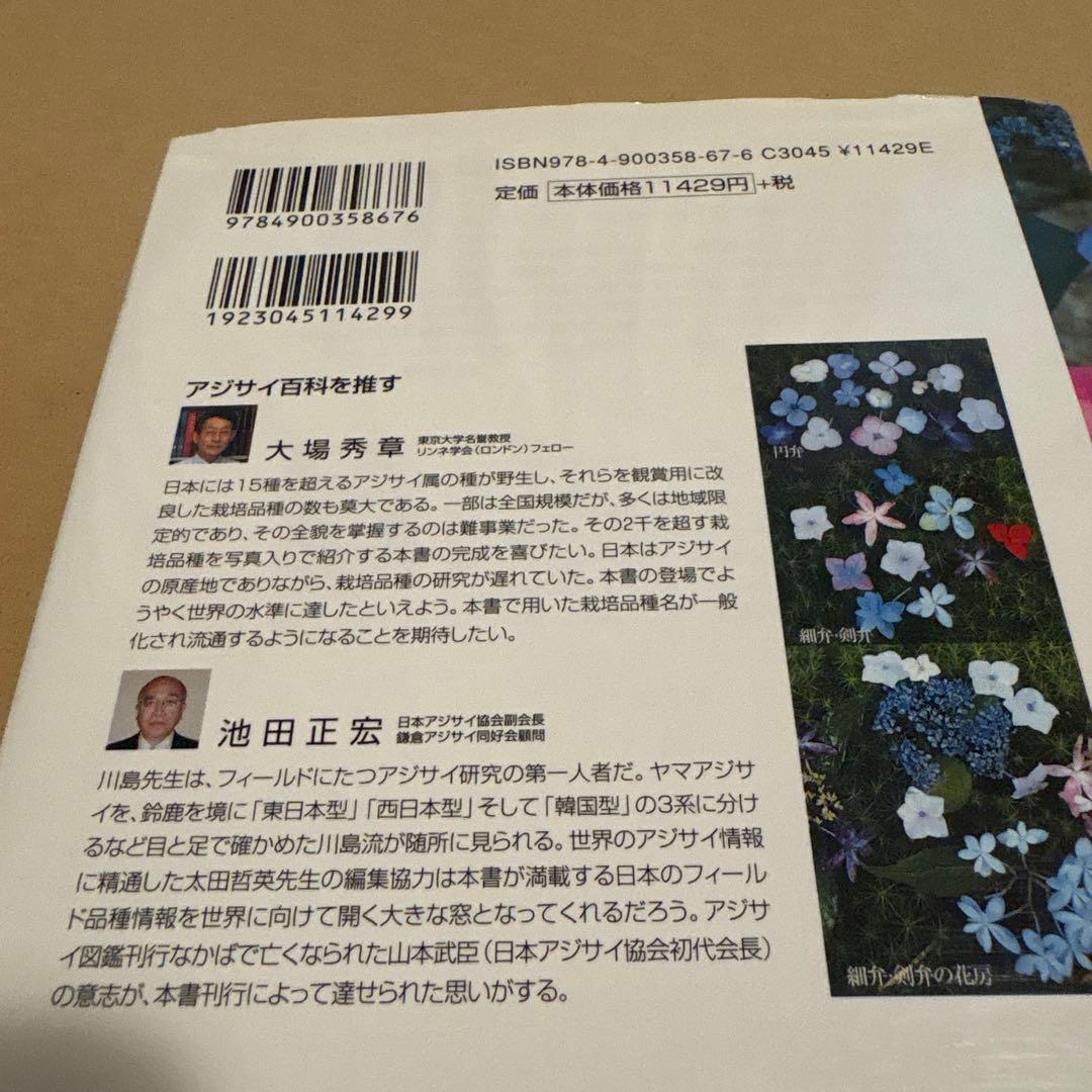 アジサイ百科 川島インデクス Hydrangea Kawashima Index