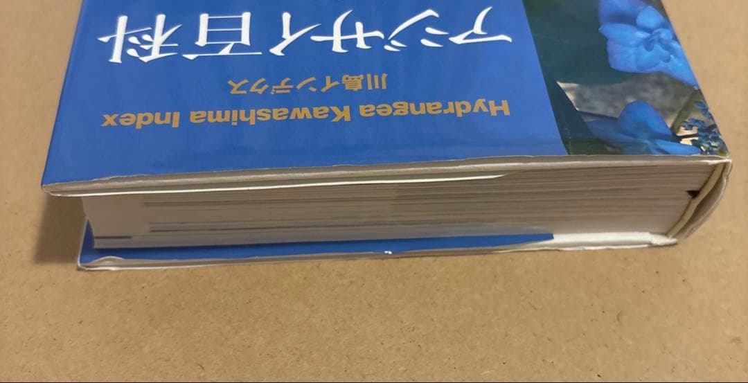 アジサイ百科 川島インデクス Hydrangea Kawashima Index