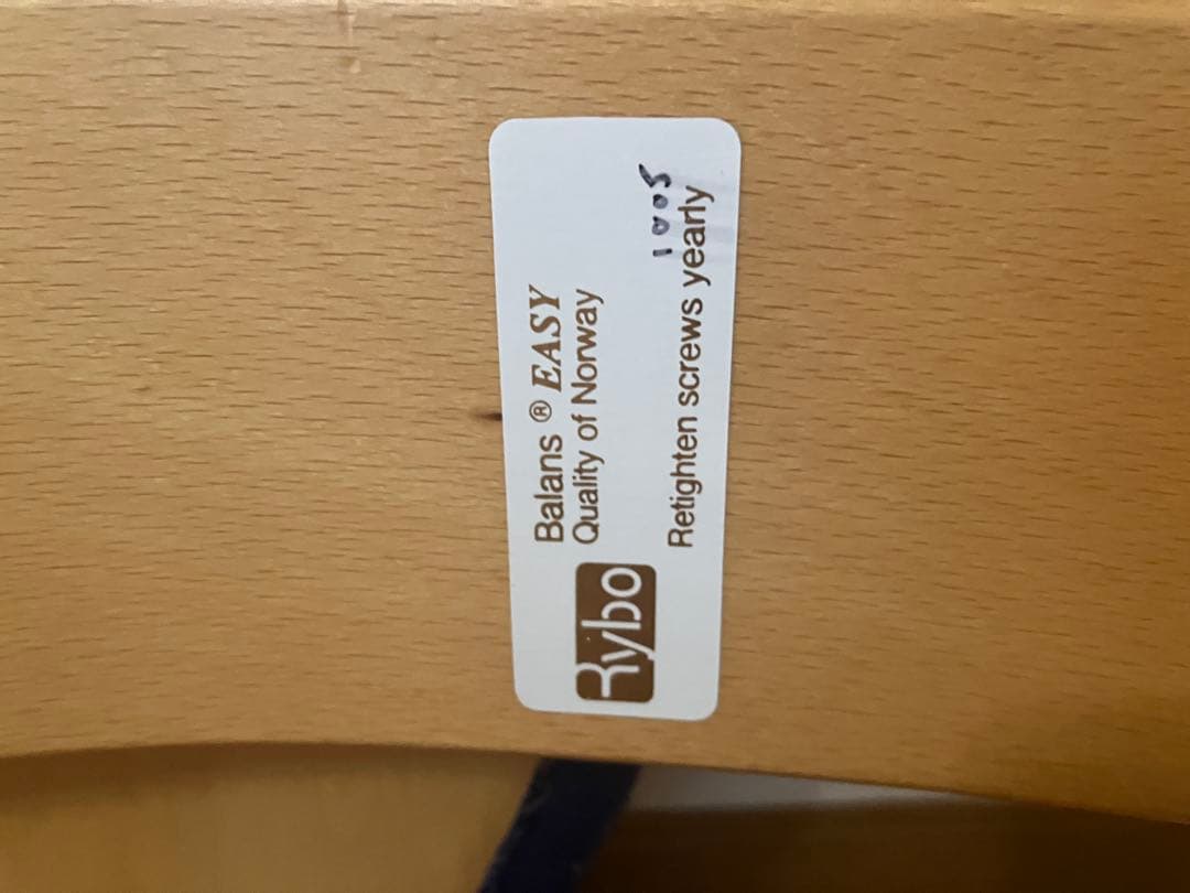 Rybo リボ社 Balance Easy バランスイージー チェア ブルー 青