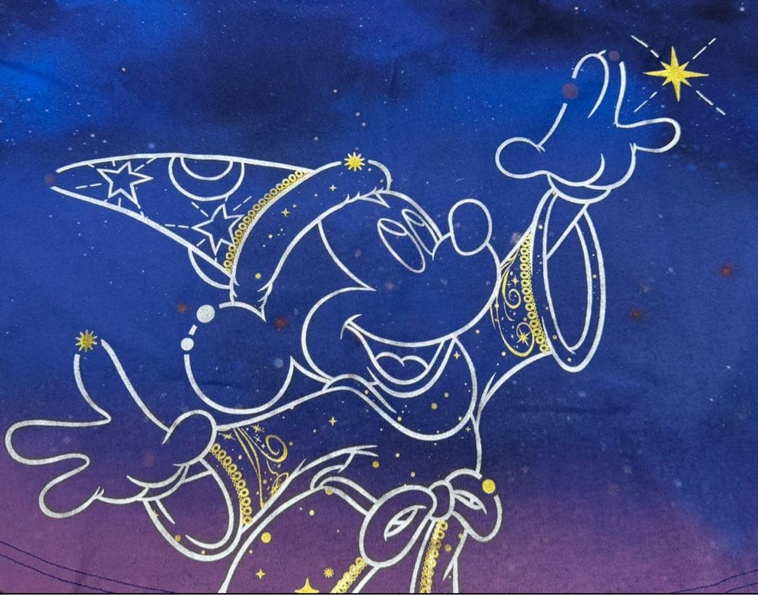 【新品・タグ付】香港Disney スピリットジャージ ファンタジア 人気Lサイズ