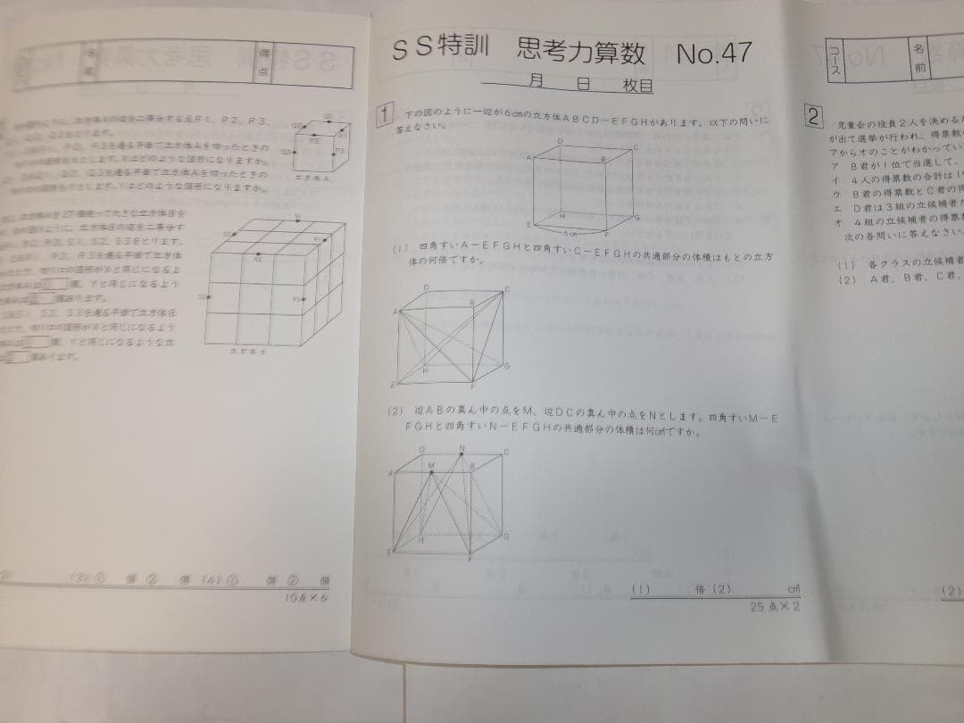 サピックス＊SS特訓＊６年 算数＊思考力講座 １４回完全版／テキスト＋実力テスト