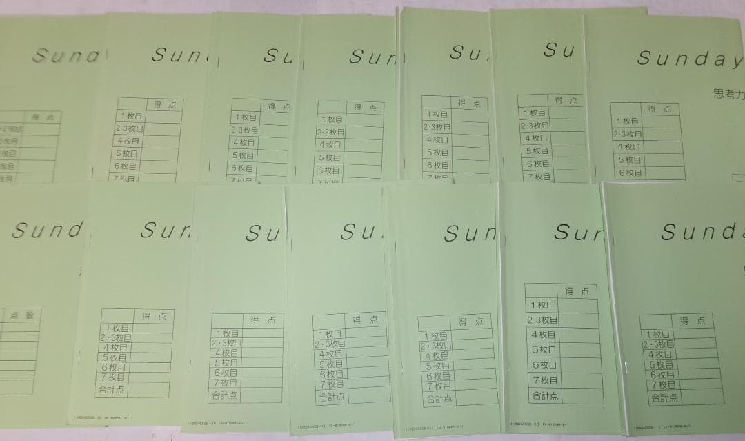 サピックス＊SS特訓＊６年 算数＊思考力講座 １４回完全版／テキスト＋実力テスト