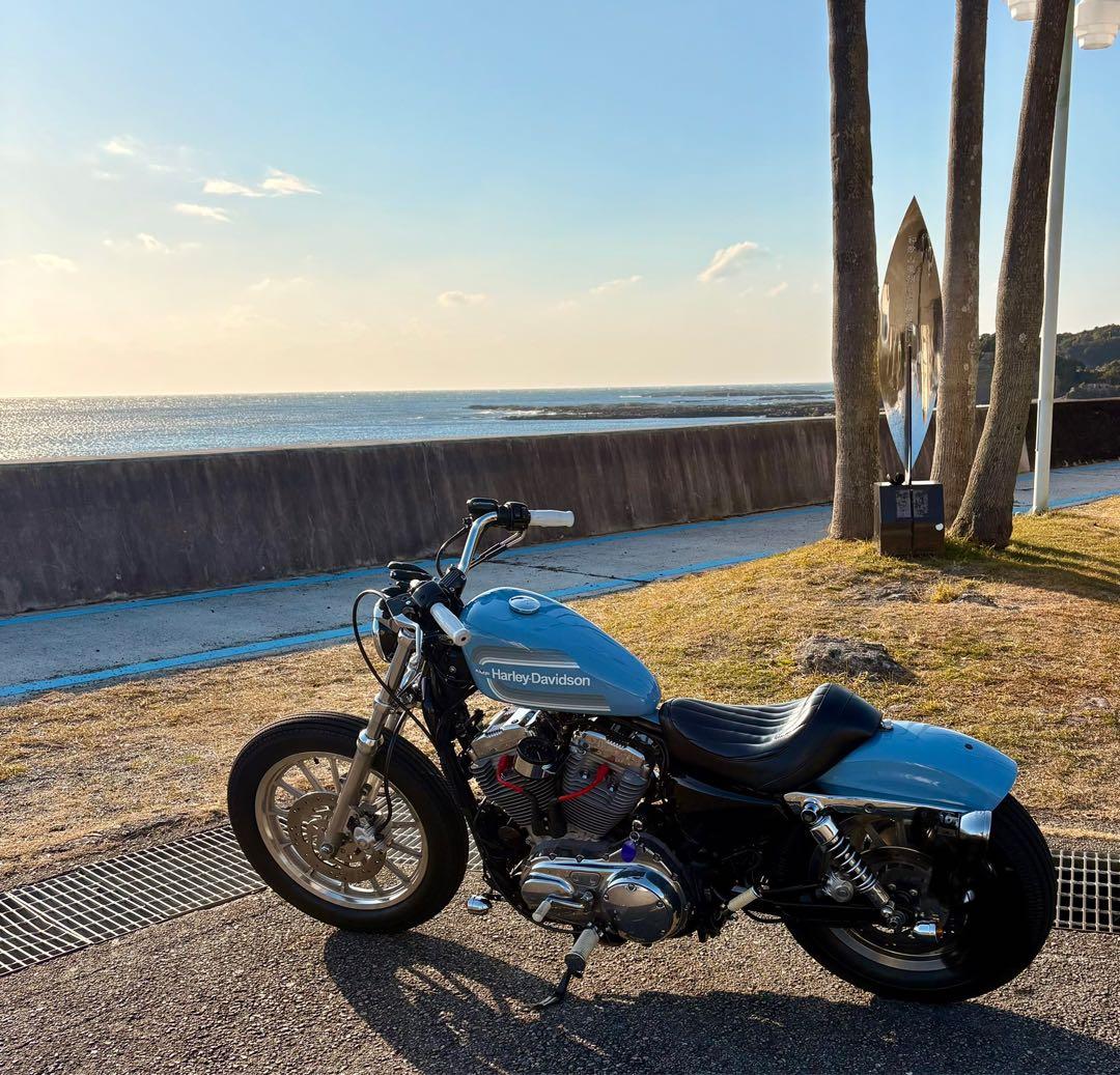 スポーツスター07〜タンク・リアフェンダーセット　カスタムペイント