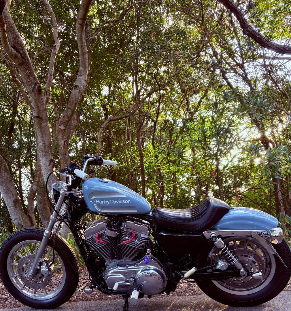 スポーツスター07〜タンク・リアフェンダーセット　カスタムペイント