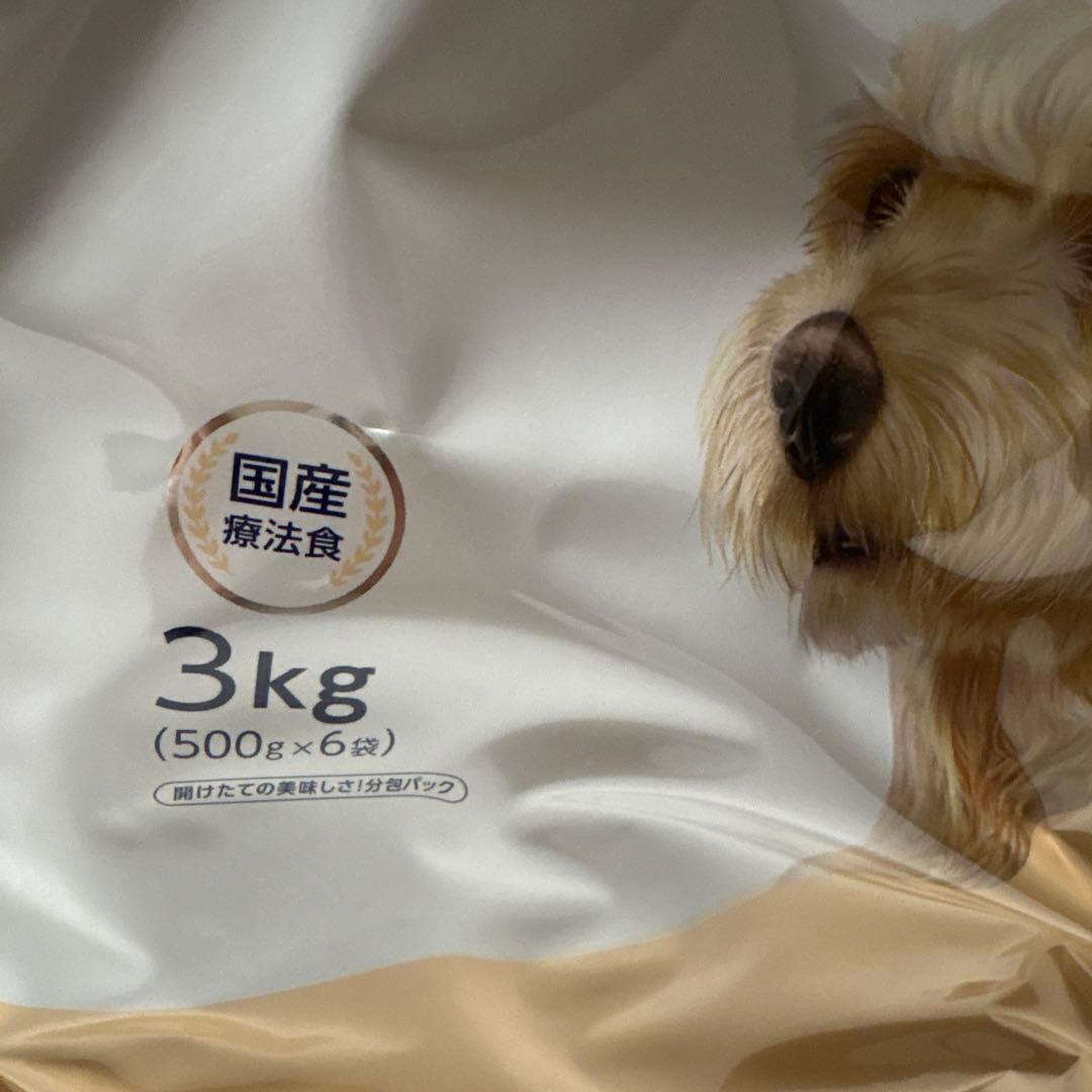 ドクターズケア　キドニーケア　犬用　慢性腎臓病対応　ドックフード　３キロ✖️２袋
