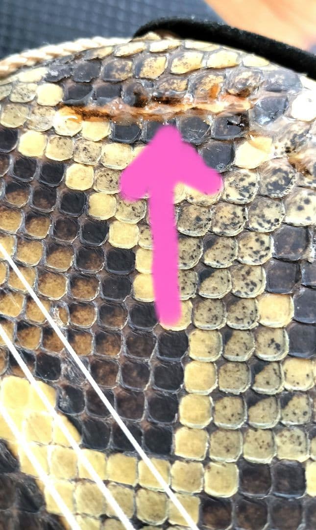 またよし 黒木 三線 チーガの桃原 一枚張り、